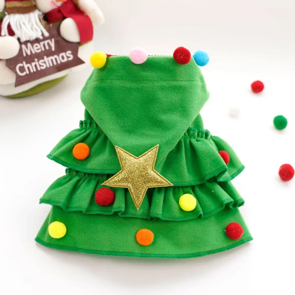 Back of the tree cloak with gold star