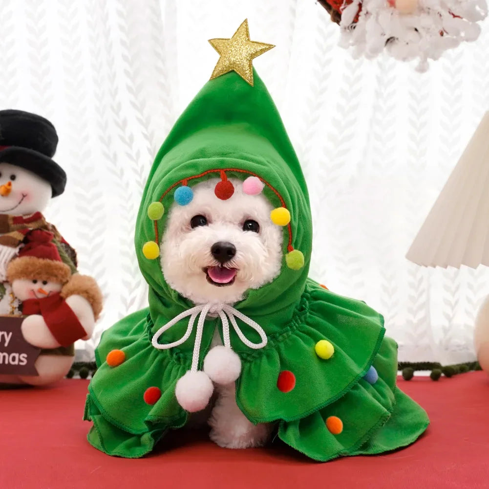 Small white dog wearing the green Christmas tree cloak with star and pom-poms